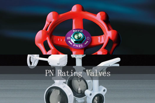 PN Rating Valves