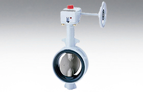 <b>G-16DJU</b>